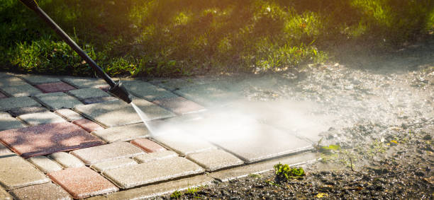 Best Animal Enclosure Cleaning  in Hailey, ID